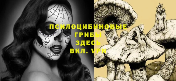 сатива Алзамай