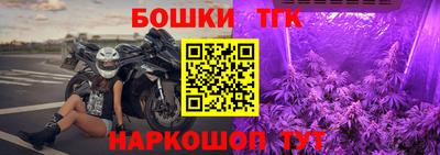 стаф Тара