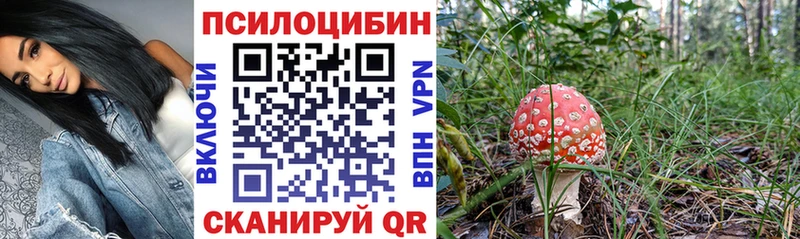 хочу наркоту  Слободской  Галлюциногенные грибы MAGIC MUSHROOMS 