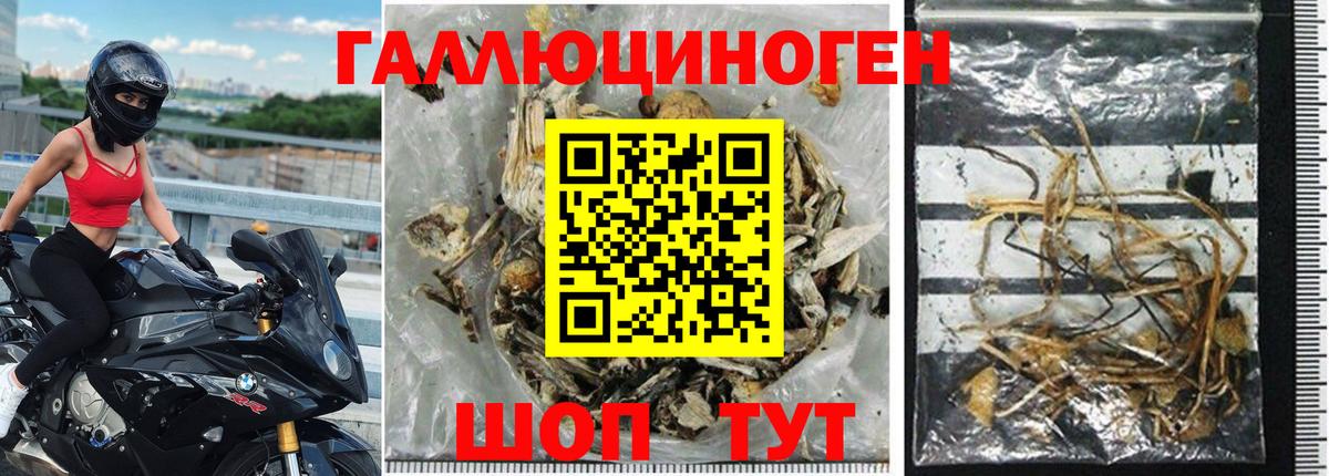 Галлюциногенные грибы Magic Shrooms Слободской